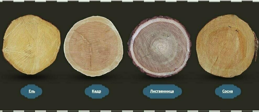 Описание изображения